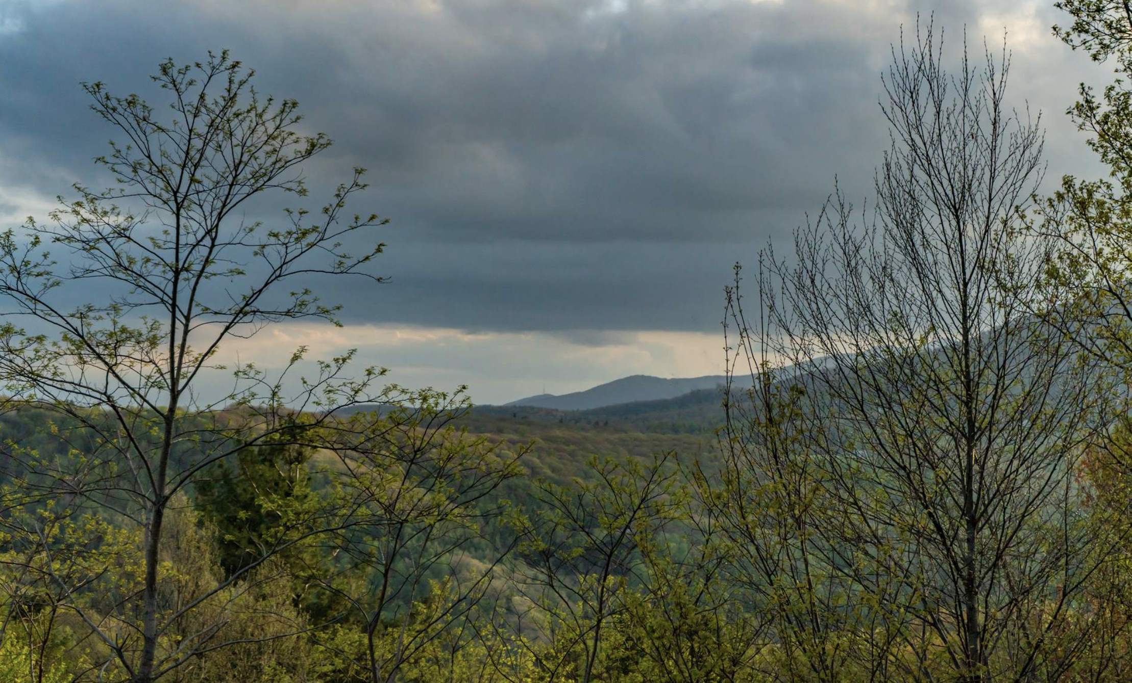 Lot 33 Sorrento Drive, Blowing Rock, NC 28605