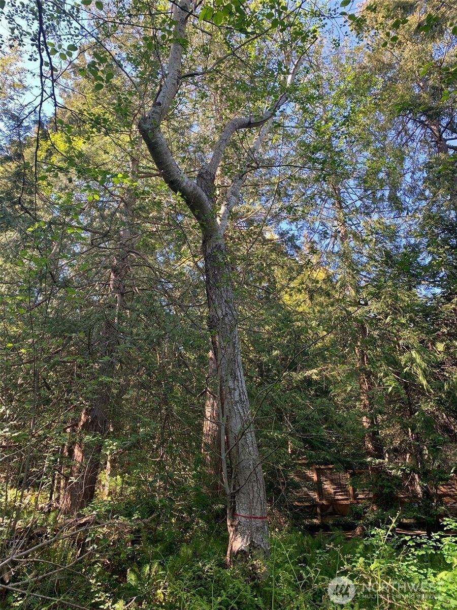 483 Wanapum Place, La Conner, WA 98257