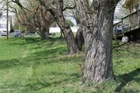 1064 Renton Rd., Plum Boro, PA 15239