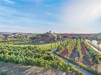 1637 Gamay Ln, Brentwood, CA 94513