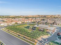 1637 Gamay Ln, Brentwood, CA 94513