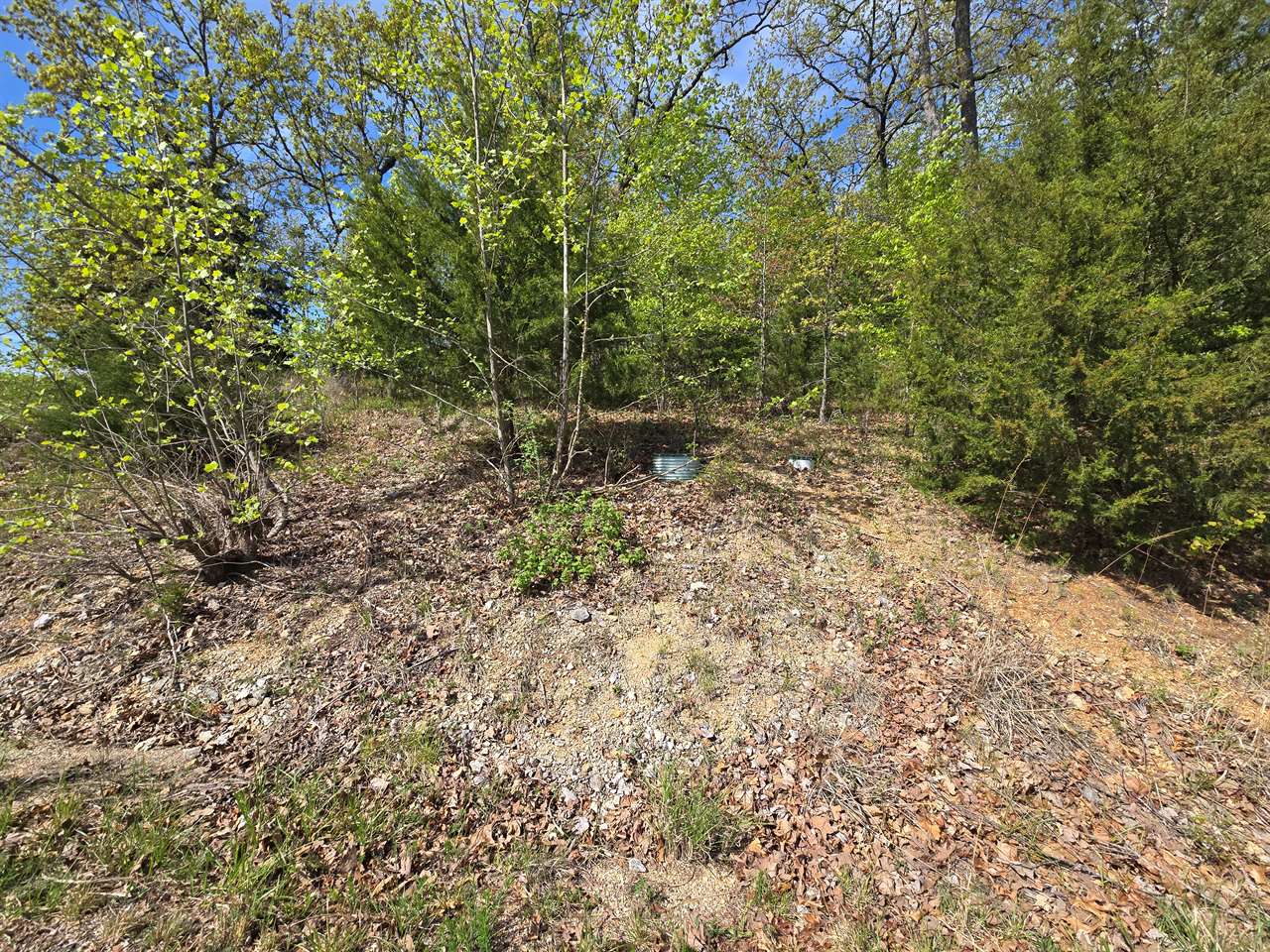 Lot 14, Arrowridge Dr, Roach, MO 65787