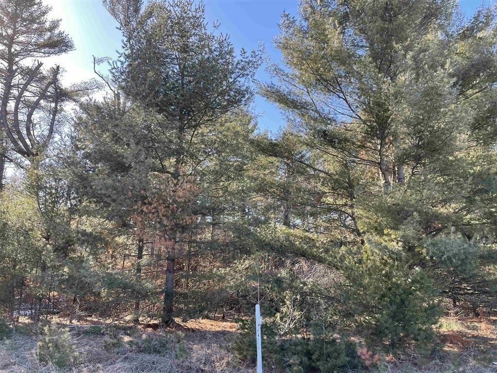 Lot 28 VERDE VILLA DRIVE, Hatley, WI 54440