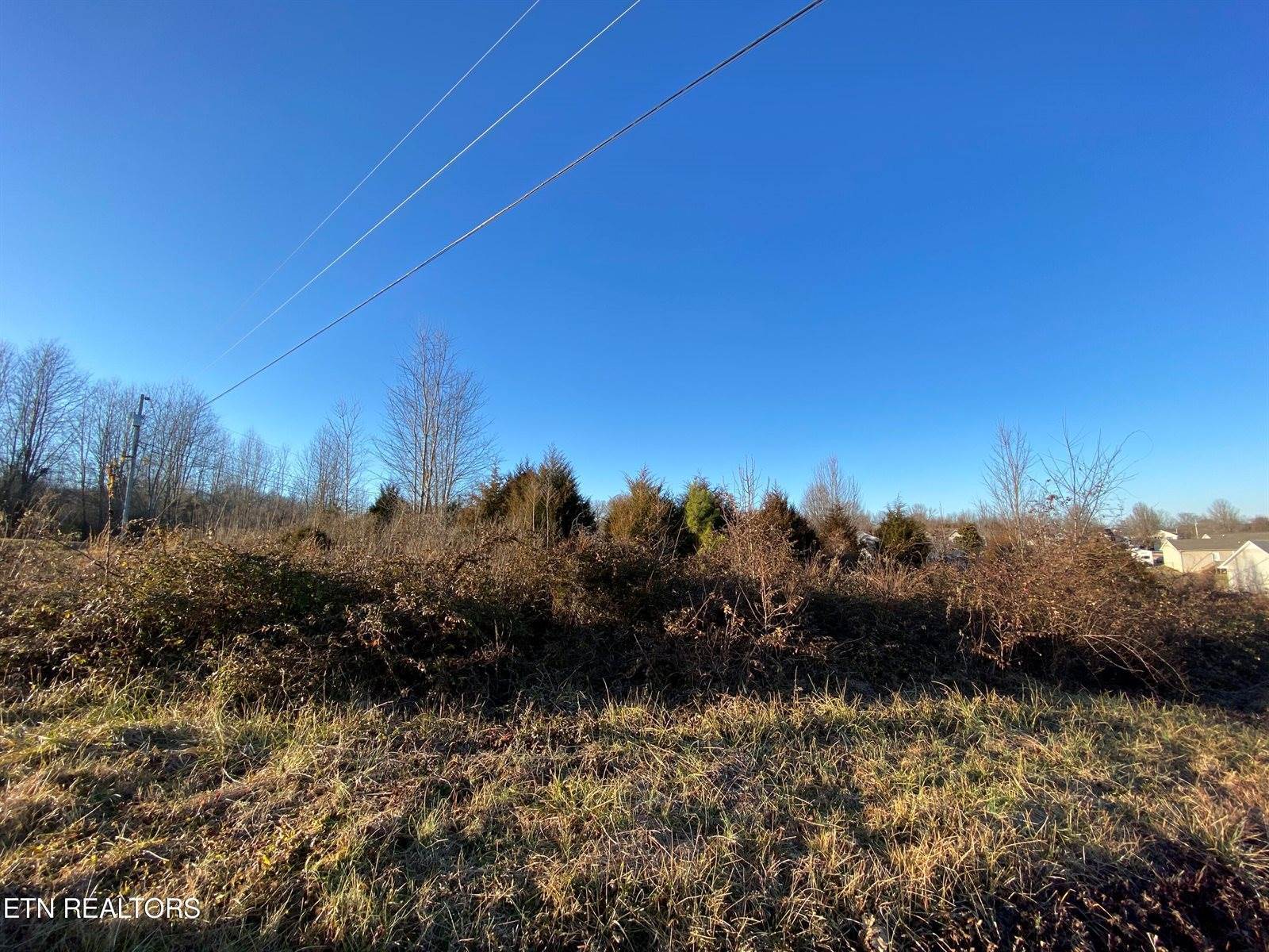 Guylene Drive, Sparta, TN 38583