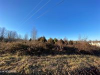 Guylene Drive, Sparta, TN 38583