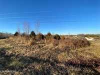 Guylene Drive, Sparta, TN 38583