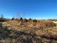 Guylene Drive, Sparta, TN 38583