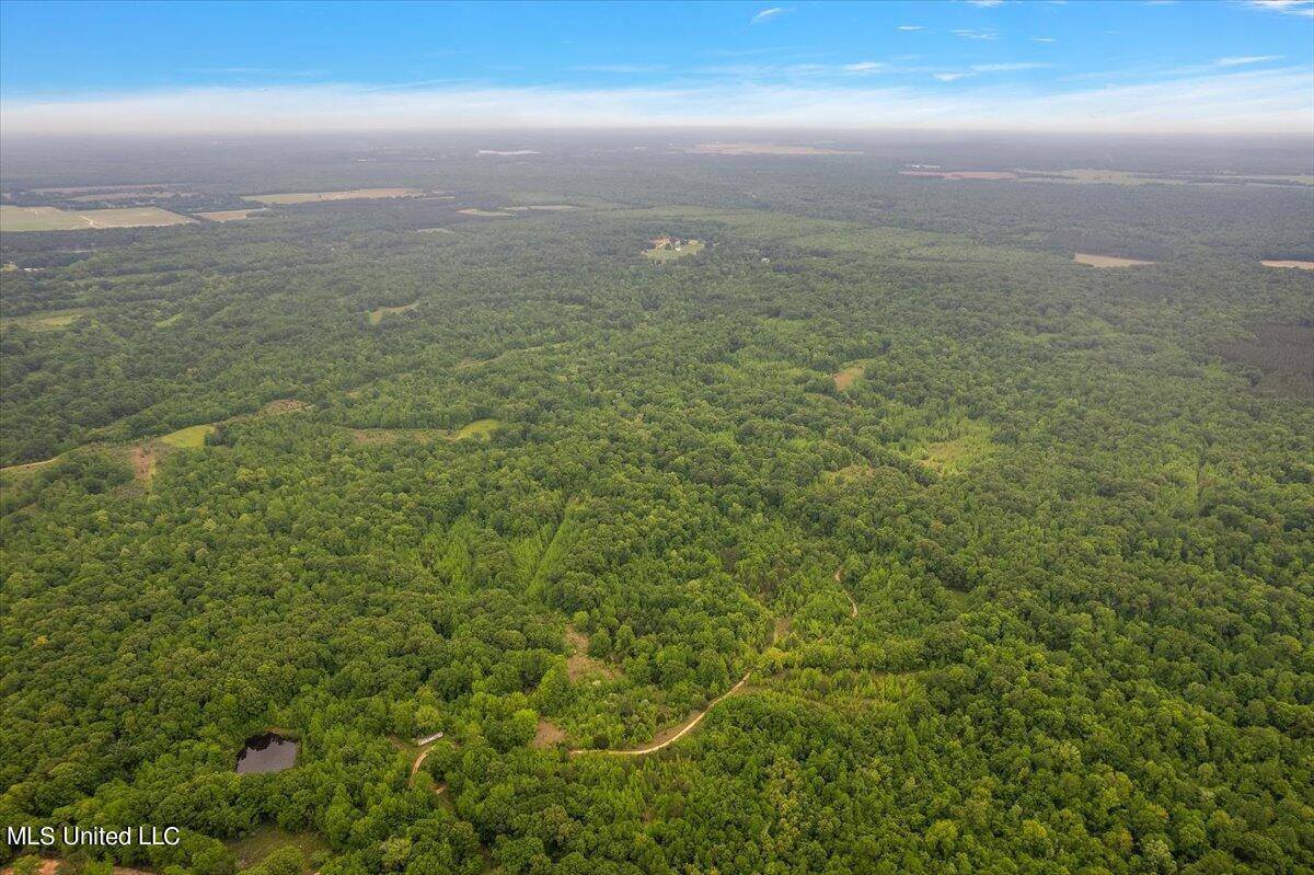 Whiskey Ridge Road, Bentonia, MS 39040