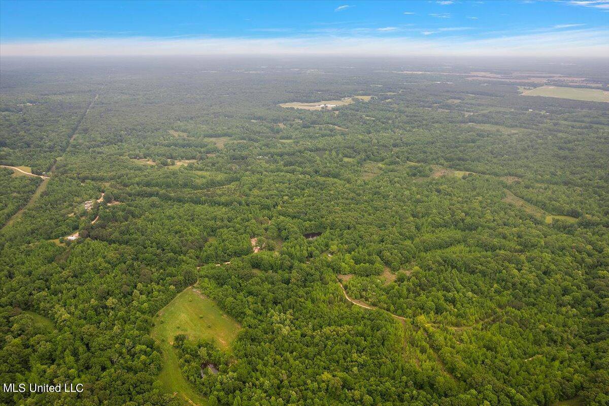 Whiskey Ridge Road, Bentonia, MS 39040