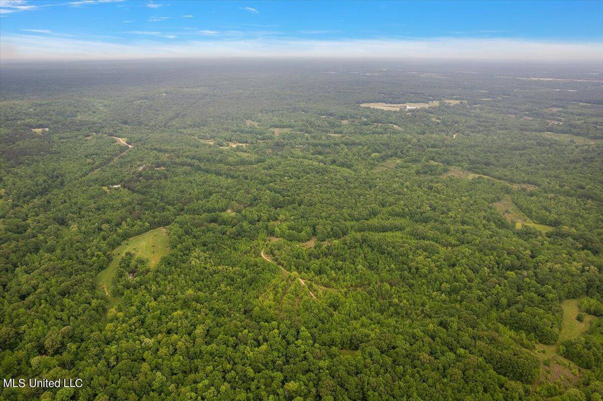 Whiskey Ridge Road, Bentonia, MS 39040