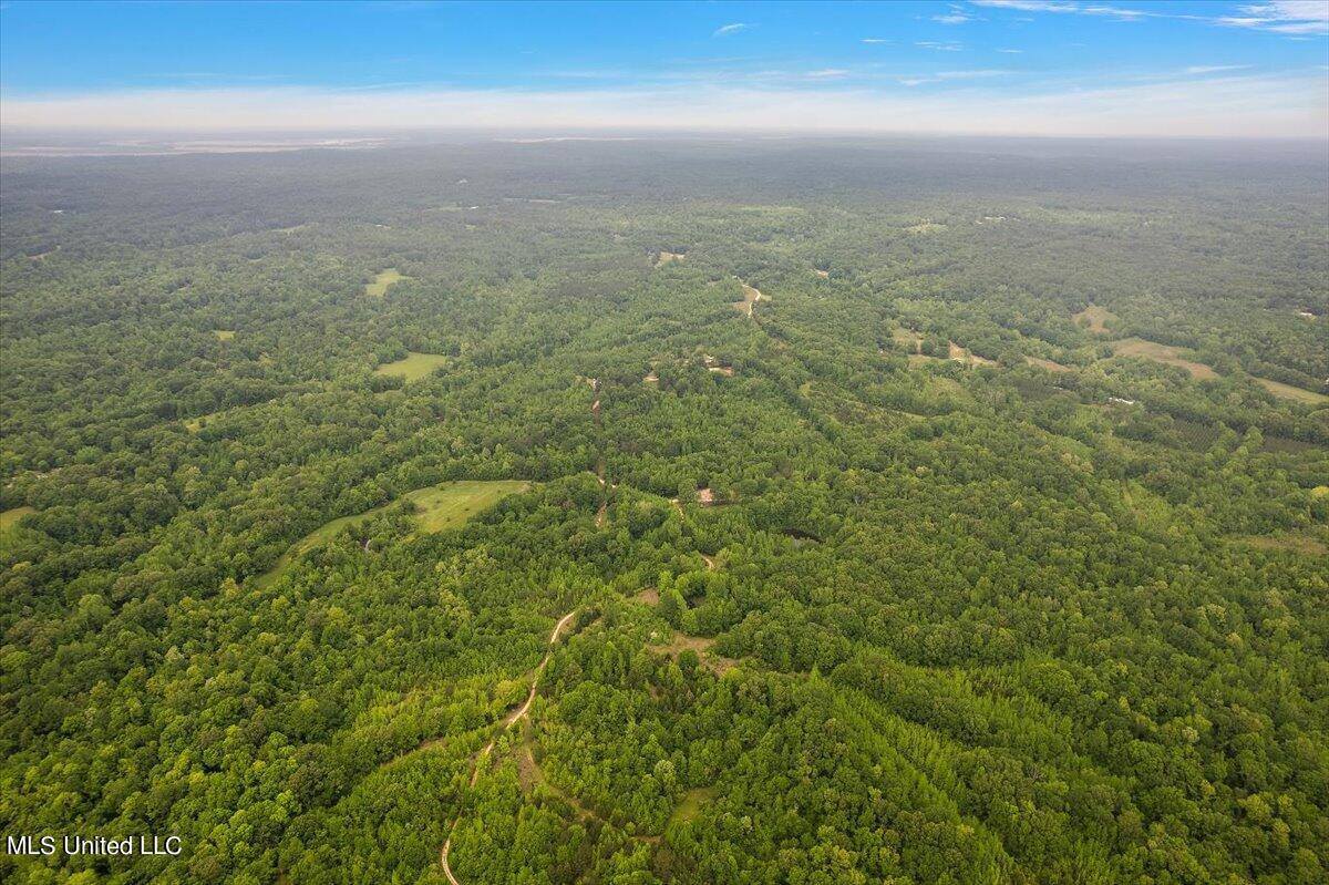 Whiskey Ridge Road, Bentonia, MS 39040