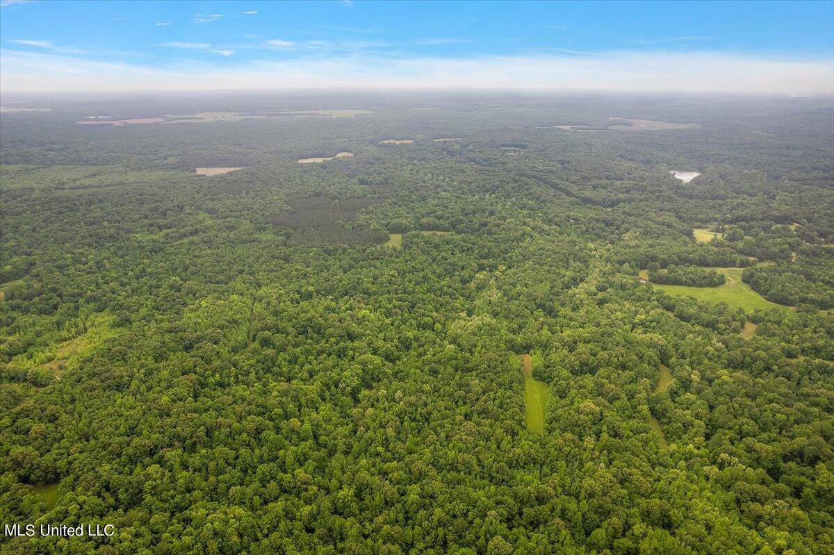 Whiskey Ridge Road, Bentonia, MS 39040