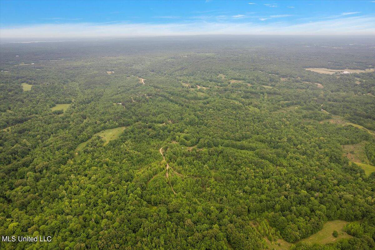 Whiskey Ridge Road, Bentonia, MS 39040