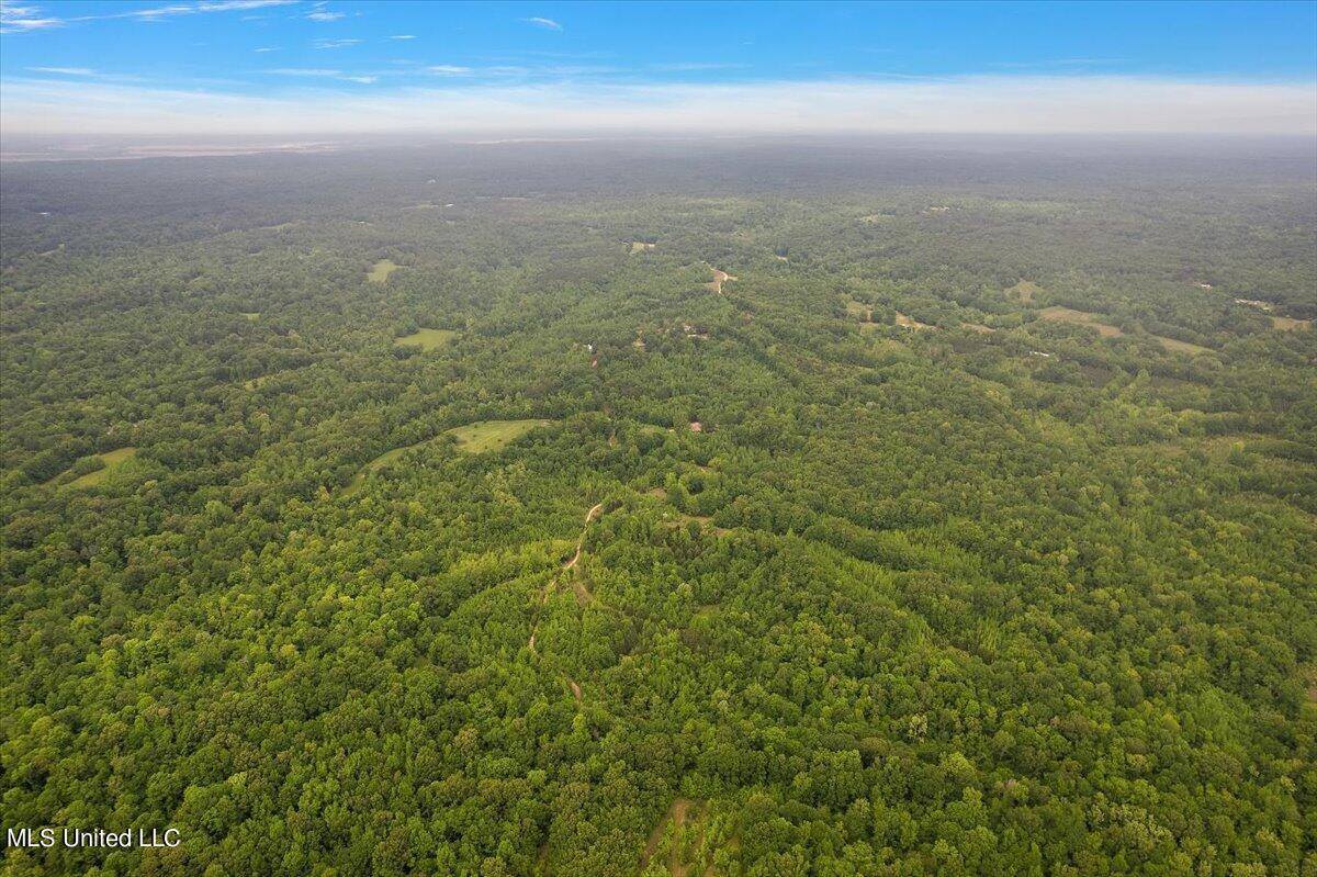 Whiskey Ridge Road, Bentonia, MS 39040