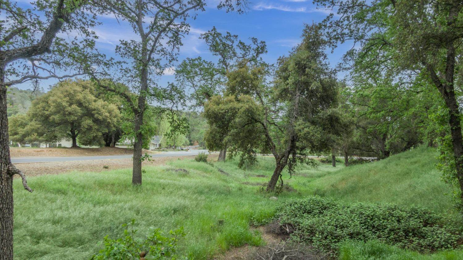 0 Suzanne Drive, Angels Camp, CA 95222