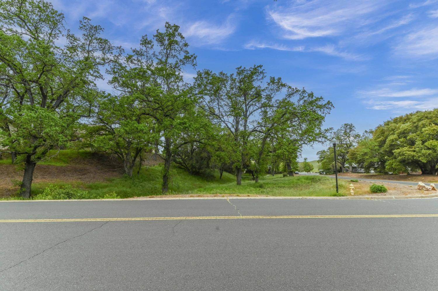 0 Suzanne Drive, Angels Camp, CA 95222