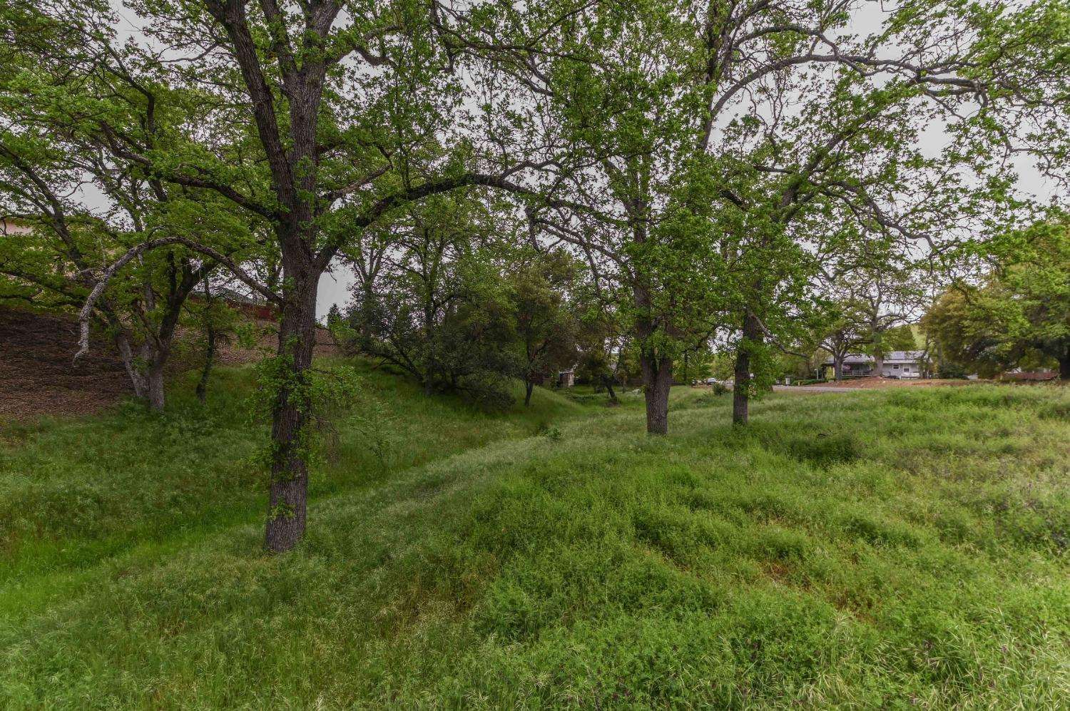 0 Suzanne Drive, Angels Camp, CA 95222