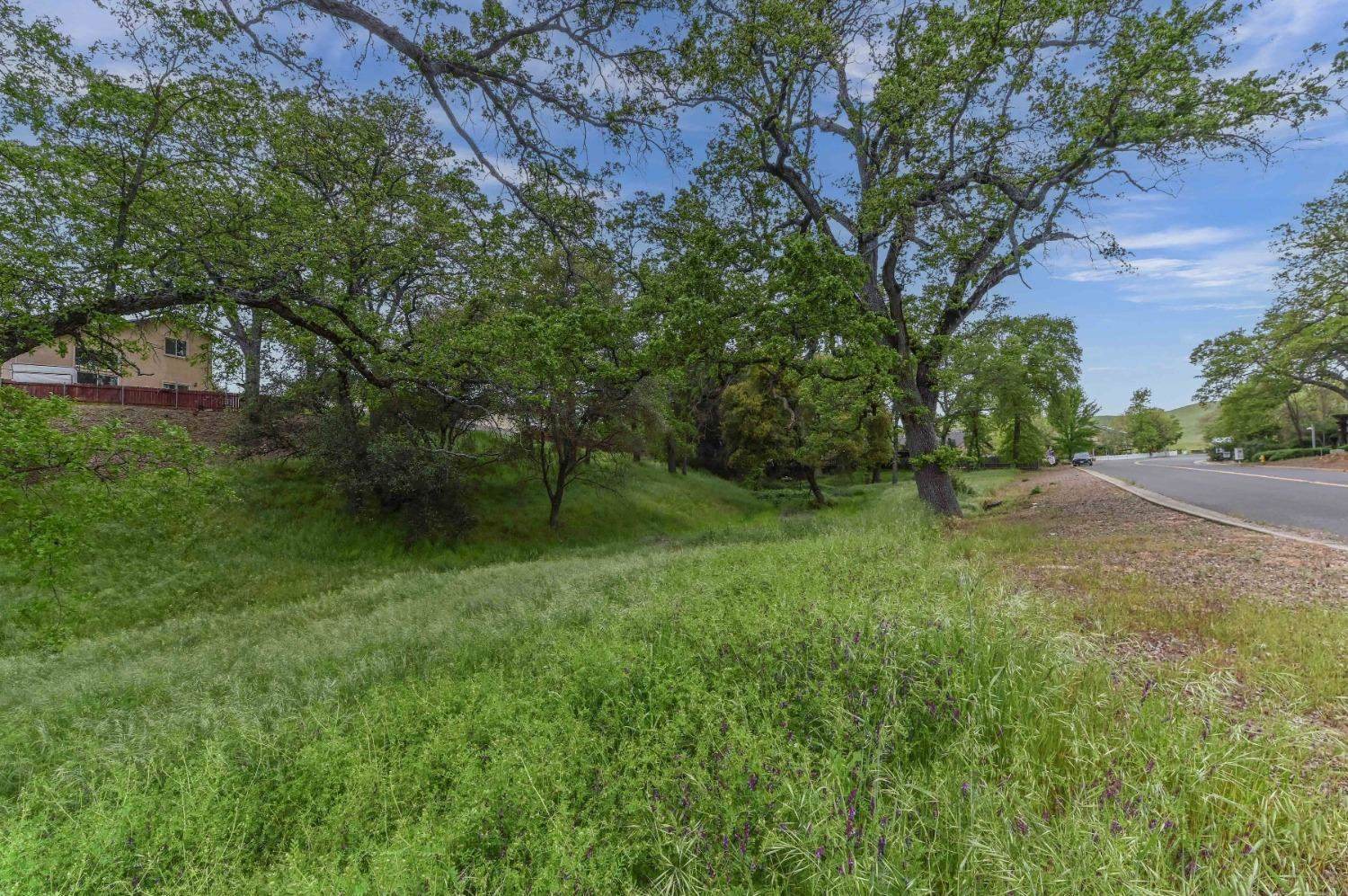 0 Suzanne Drive, Angels Camp, CA 95222