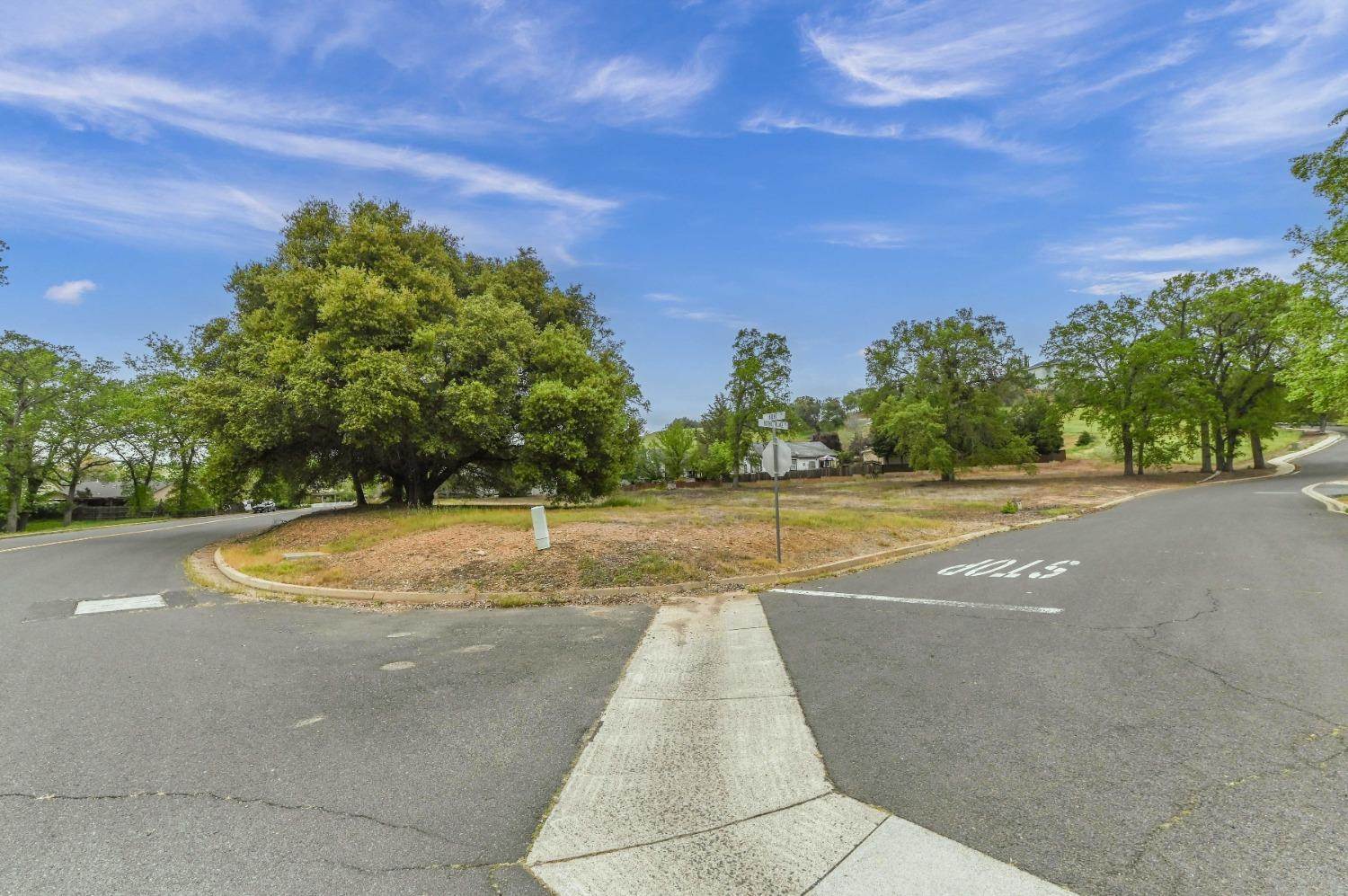 25 Kurt Drive, Angels Camp, CA 95222