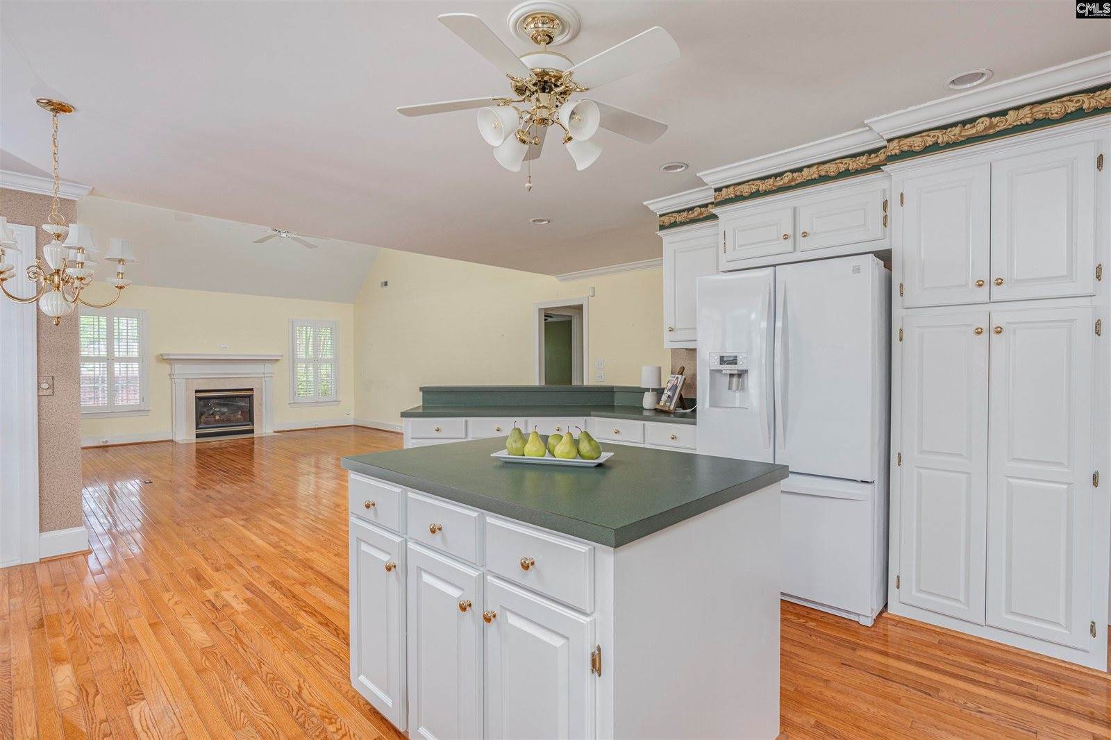 125 Camlin Court, Columbia, SC 29229