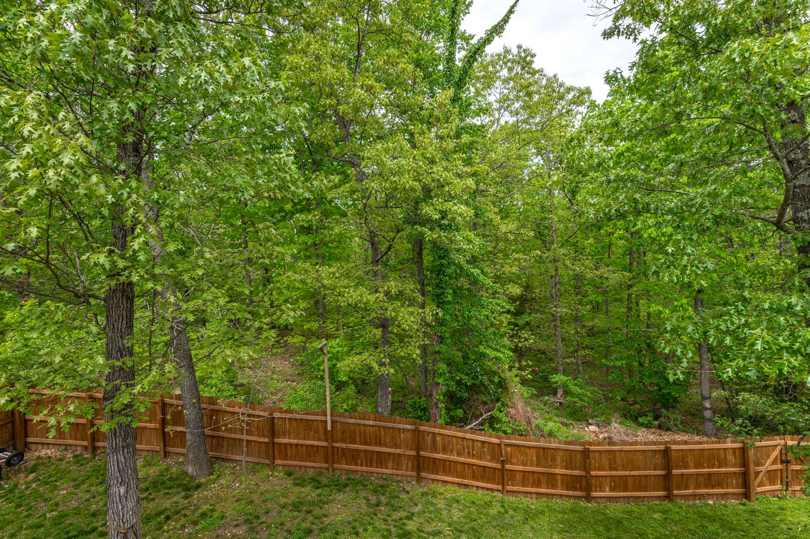 15859 Tundra St, St Robert, MO 65584