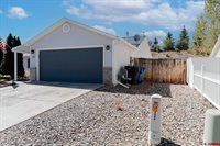 1606 Branding Iron Drive, Montrose, CO 81401