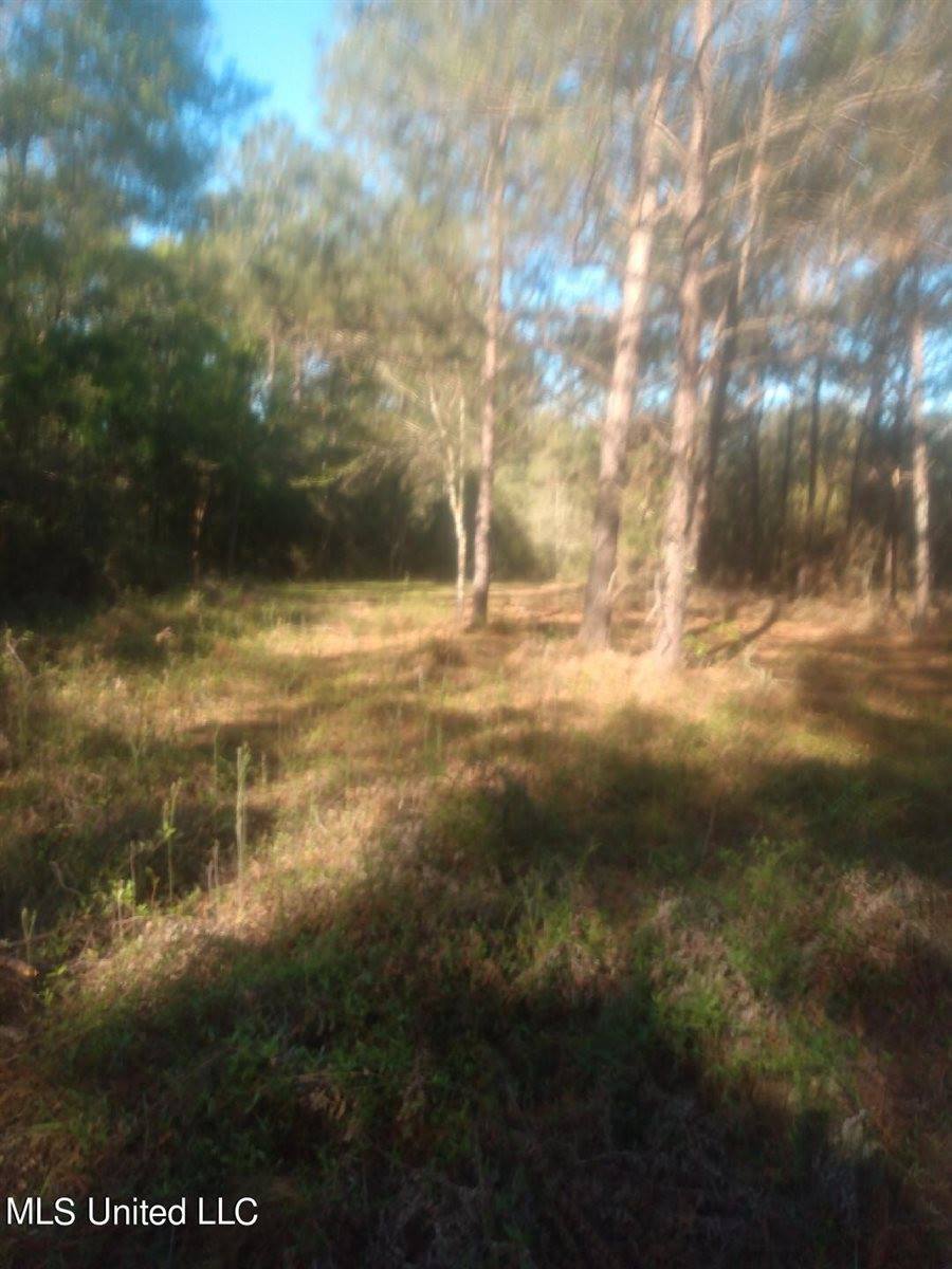 1247 Moffett Annex Road, Lucedale, MS 39452