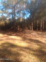 1247 Moffett Annex Road, Lucedale, MS 39452