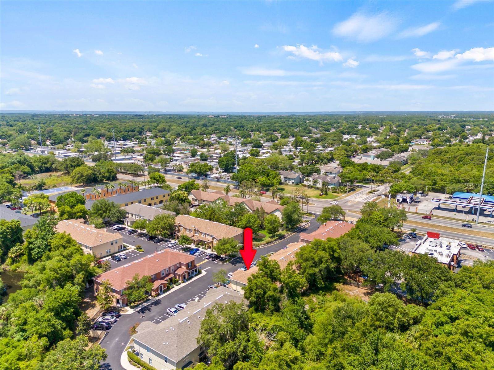 8715 Sheldon Creek Boulevard, Tampa, FL 33615