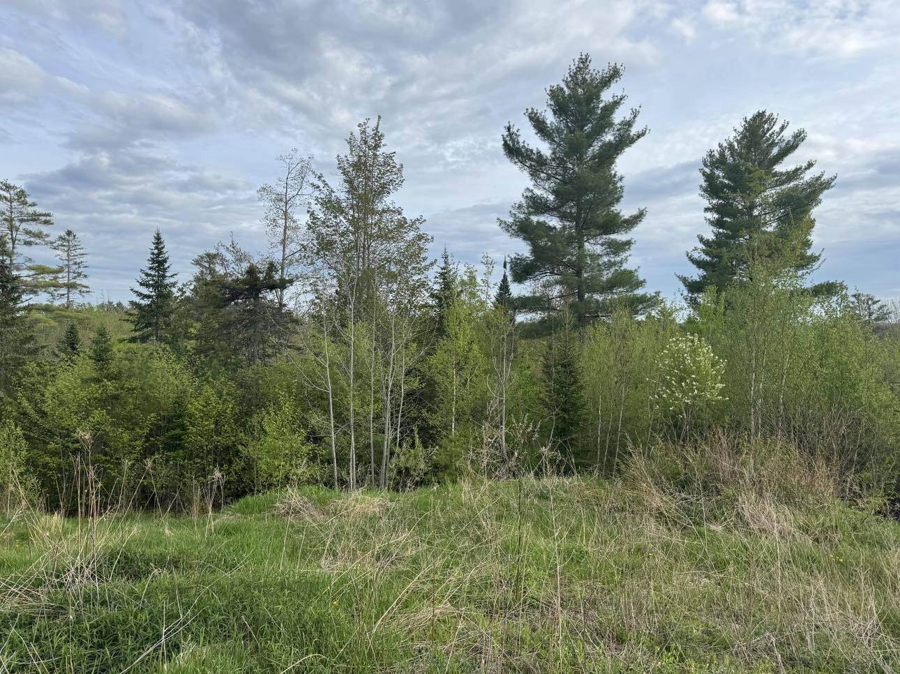 Lot #16 Hemlock Ridge Drive, Hermon, ME 04401