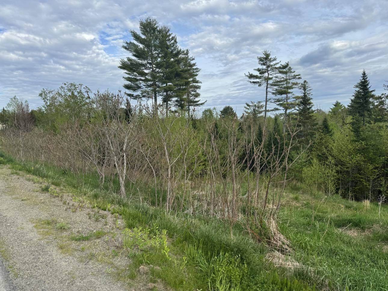 Lot #16 Hemlock Ridge Drive, Hermon, ME 04401