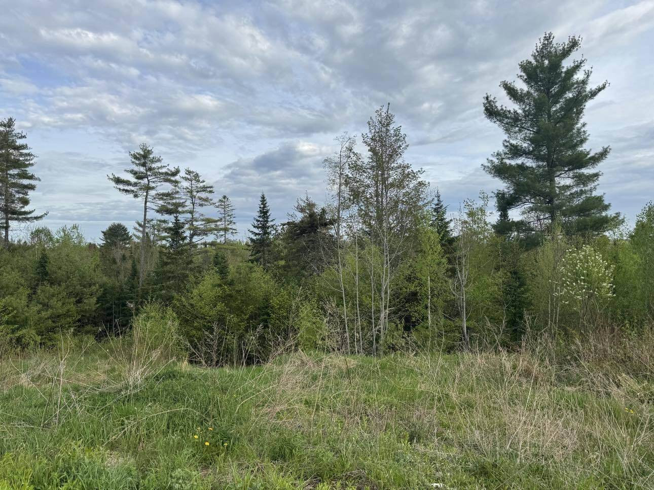 Lot #16 Hemlock Ridge Drive, Hermon, ME 04401