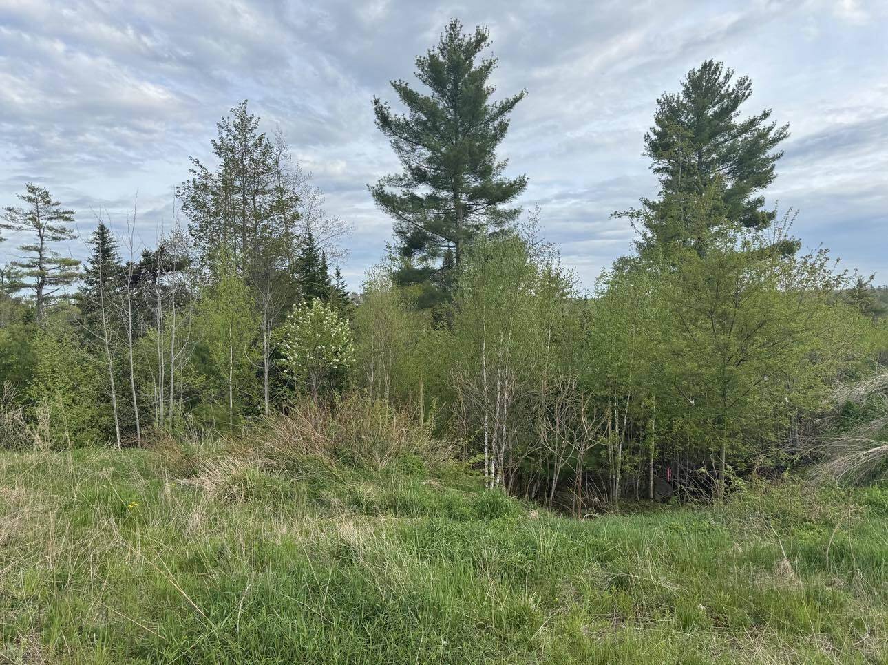 Lot #16 Hemlock Ridge Drive, Hermon, ME 04401