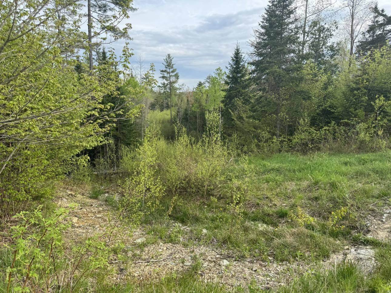 Lot #16 Hemlock Ridge Drive, Hermon, ME 04401