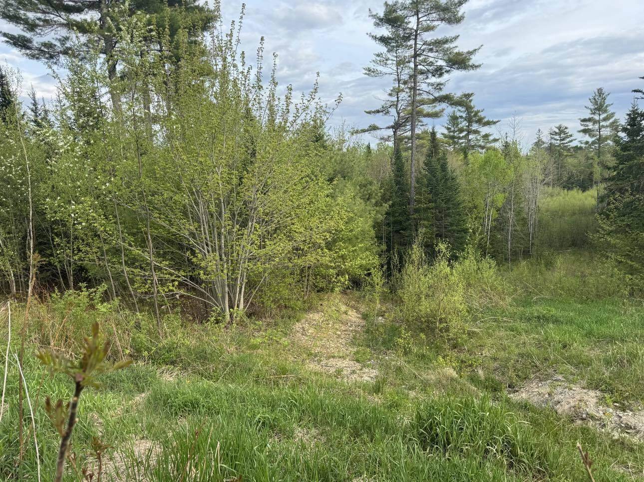 Lot #16 Hemlock Ridge Drive, Hermon, ME 04401