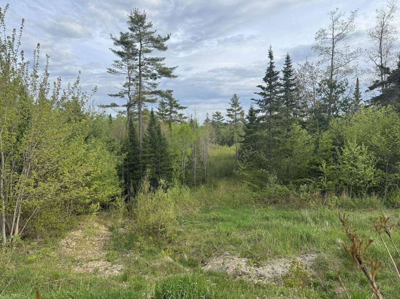 Lot #16 Hemlock Ridge Drive, Hermon, ME 04401