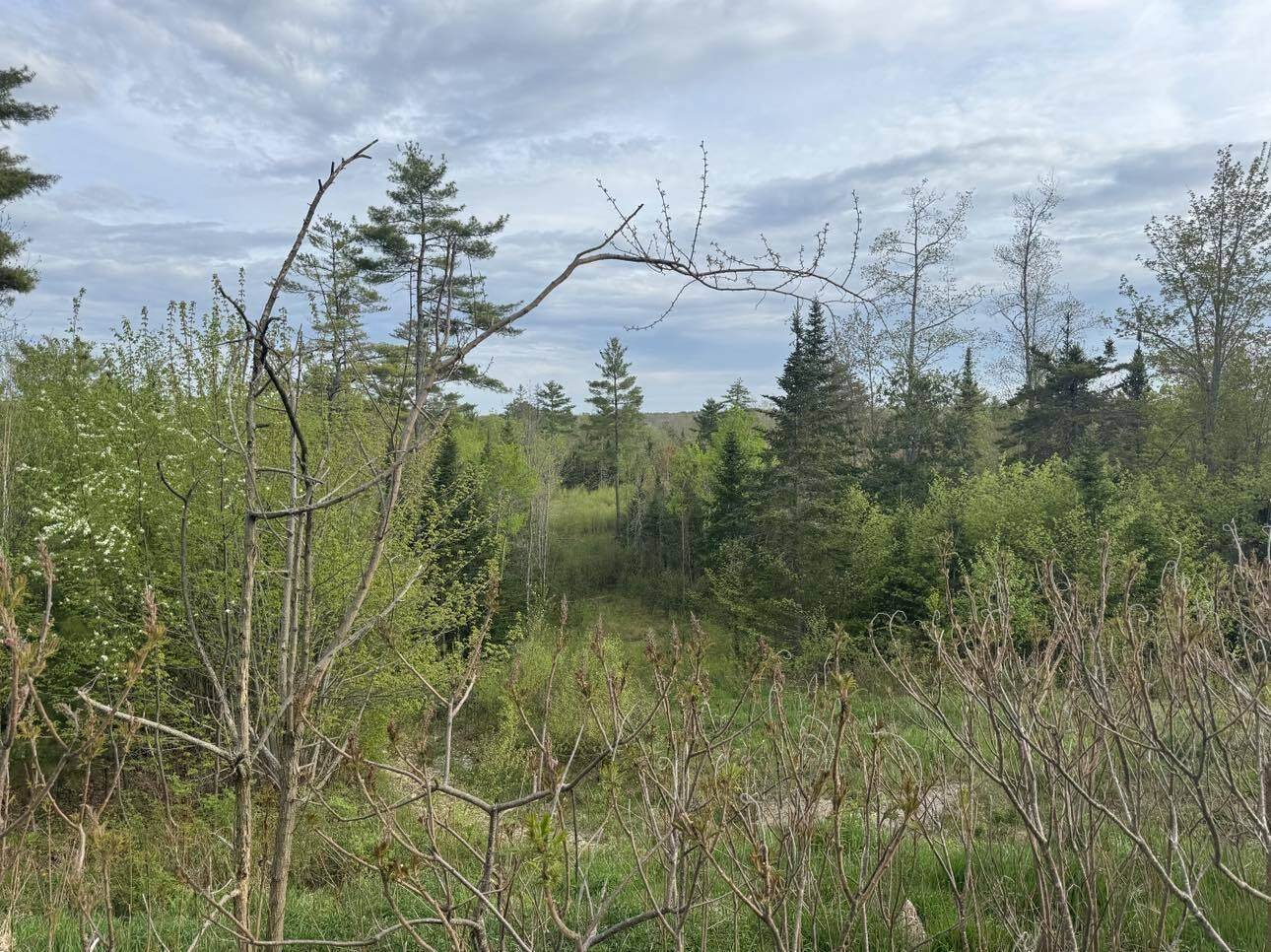 Lot #16 Hemlock Ridge Drive, Hermon, ME 04401