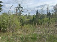 Lot #16 Hemlock Ridge Drive, Hermon, ME 04401