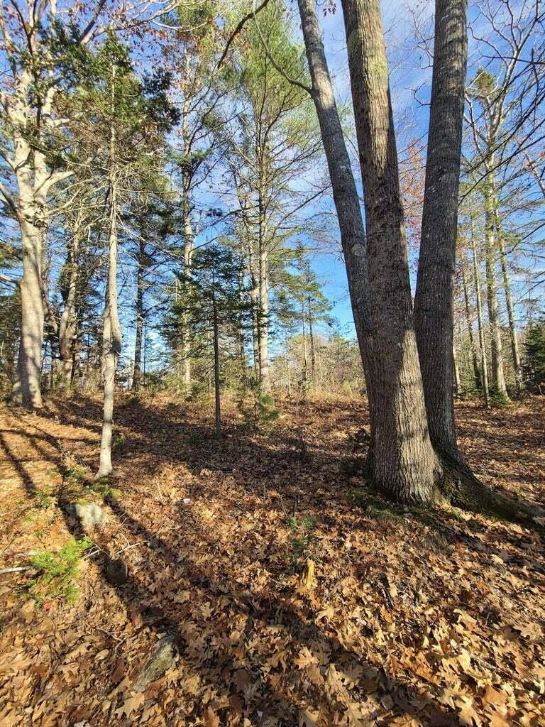 Lot 45 Woodland Heights, Bucksport, ME 04416