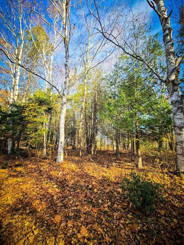 Lot 45 Woodland Heights, Bucksport, ME 04416