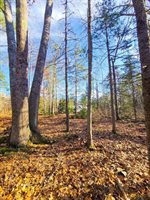 Lot 45 Woodland Heights, Bucksport, ME 04416