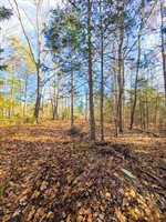 Lot 45 Woodland Heights, Bucksport, ME 04416