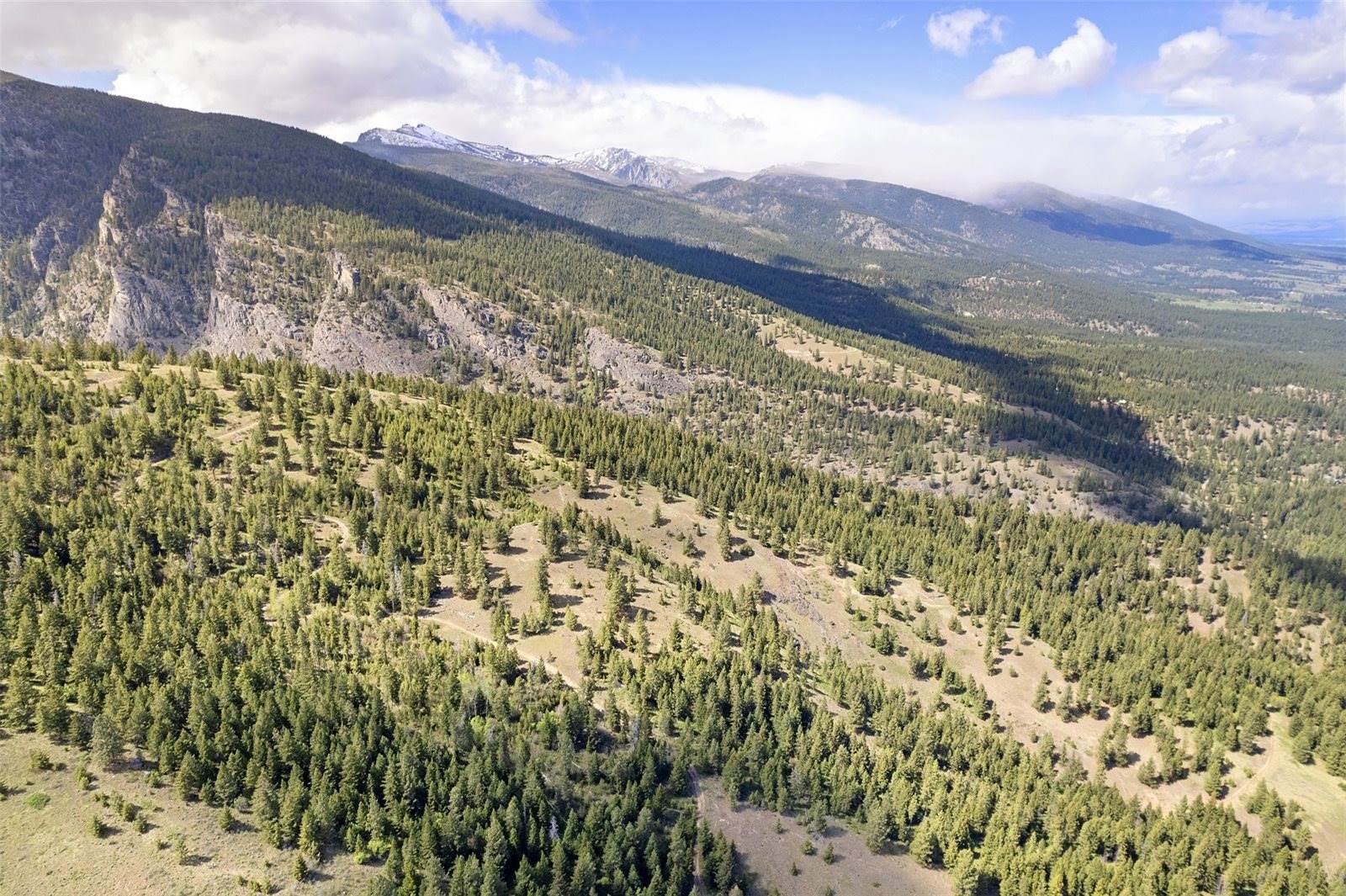 NHN Bourne Loop, Victor, MT 59875