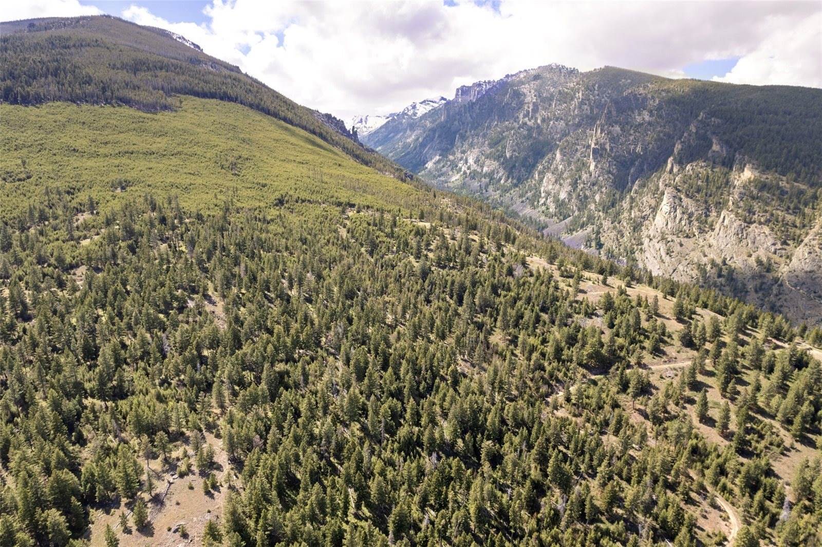 NHN Bourne Loop, Victor, MT 59875