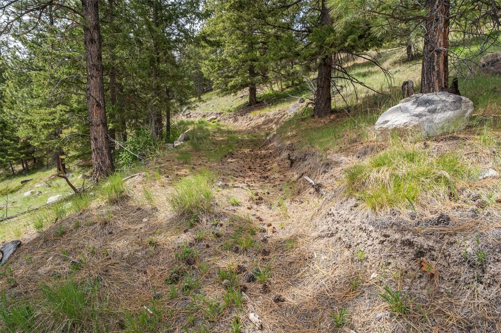 NHN Bourne Loop, Victor, MT 59875