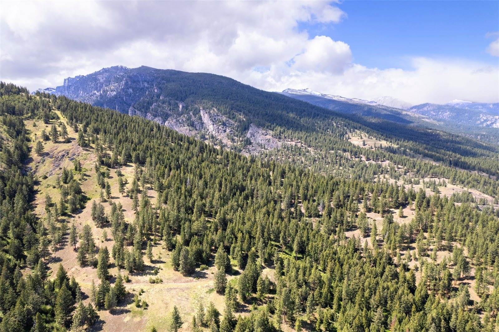 NHN Bourne Loop, Victor, MT 59875