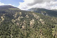 NHN Bourne Loop, Victor, MT 59875