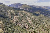 NHN Bourne Loop, Victor, MT 59875