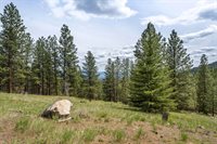 NHN Bourne Loop, Victor, MT 59875