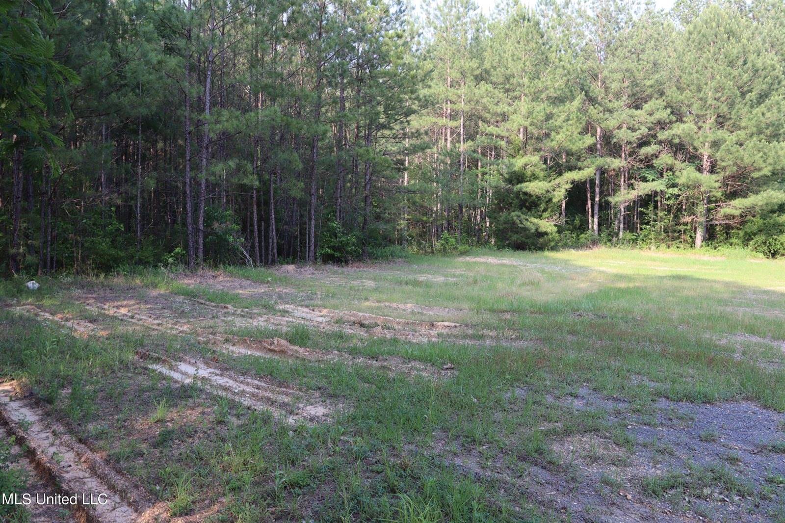 2081 White Road, Florence, MS 39073